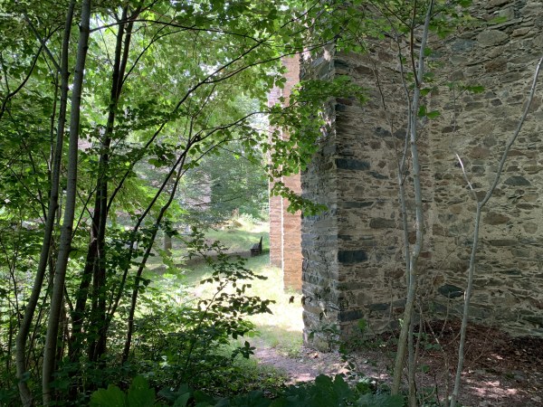 Links Bume im Sommer, rechts Mauer der Ruine