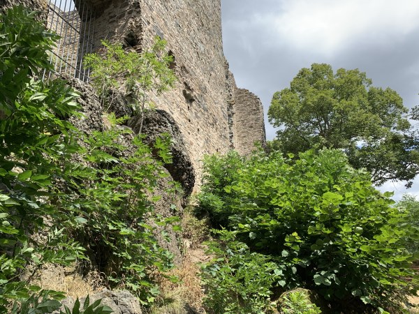Zwischen Bume rieige Stein-Mauer einer Ruine am Hang