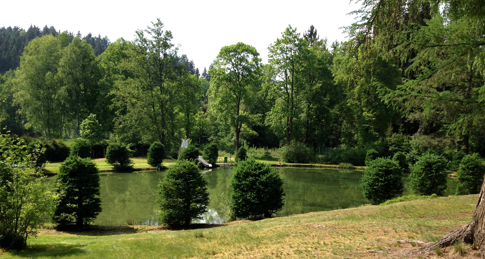 Teich im Freibad Bad Elster mit viel Liegewiese und Grn