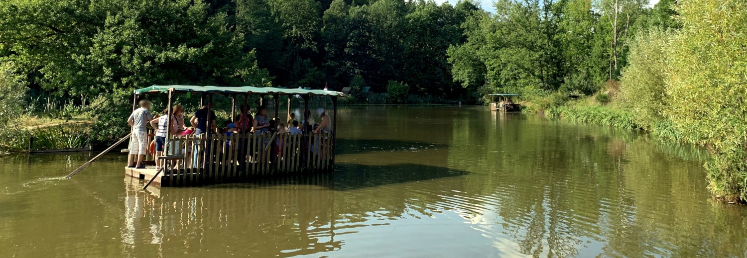 Vollbesetztes Flo auf Teich im Wasser