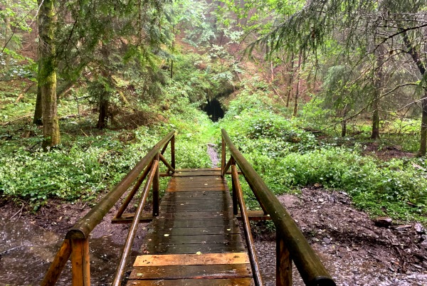 Holzbrcke ber Bach im Regen auf dem Weg zu einer Hhle im Wald