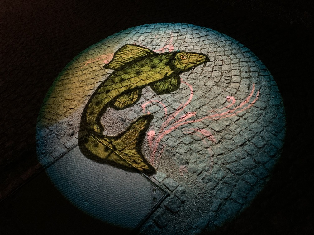 Kreisrundes Leuchtbild auf dem Fuboden mit grnem Fisch als Motiv.