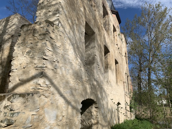 Auenwand der Ruine vom Wasserschloss in Geilsdorf neben zwei Bumen