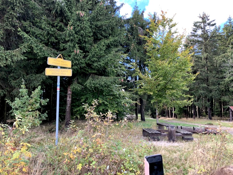 Wald mit hoher Wieße. Links 2 gelbe Hinweisschilder an einem Mast. Rechts Holzbänke und Holztisch