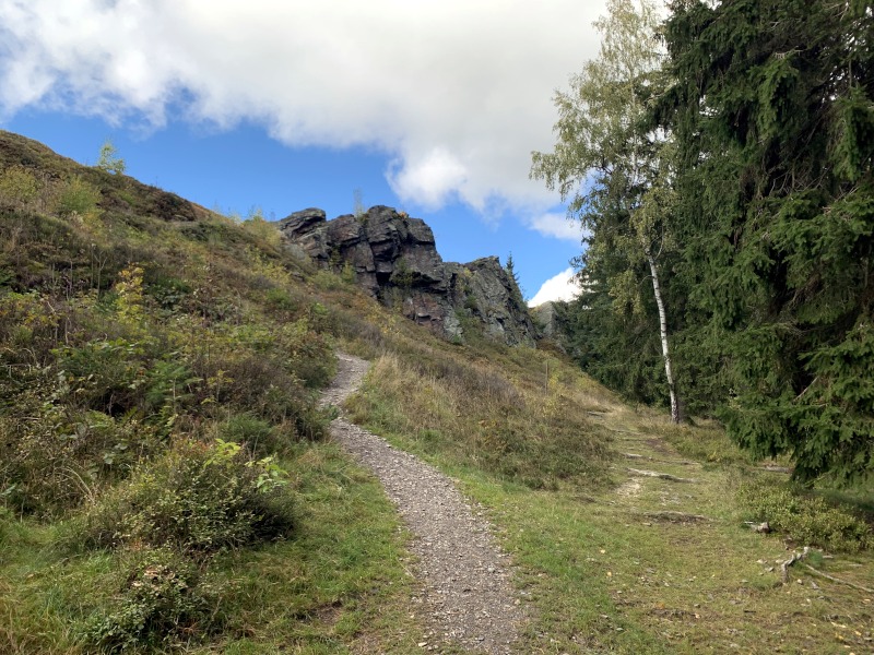 Schmaler Weg am Hang zwischen Wiese und Wald führt nach oben zu einem Felsen