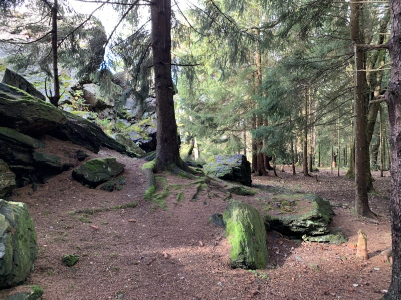 Felsbrocken im Wald. Links großer Felsen.