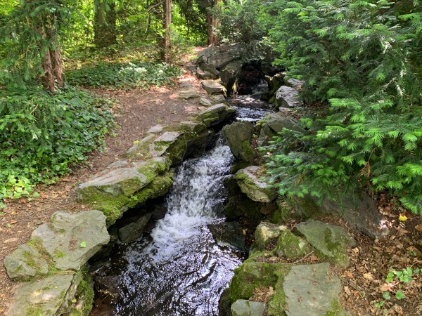 Bach mit Steinen befestigt im Wald