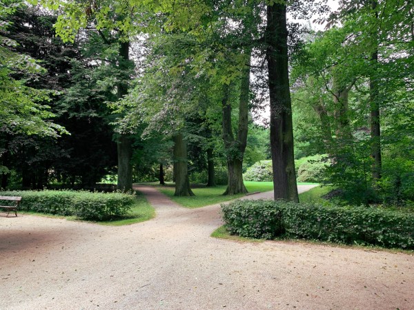 Weggabelung mit durch Park mit Bäumen