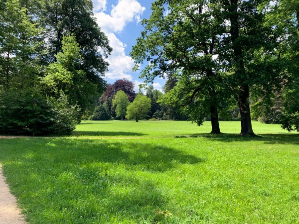 Großer Park mit gepflegtem Rasen, durchquert von Wegen mit kraftvoll gewachsenen Bäumen.