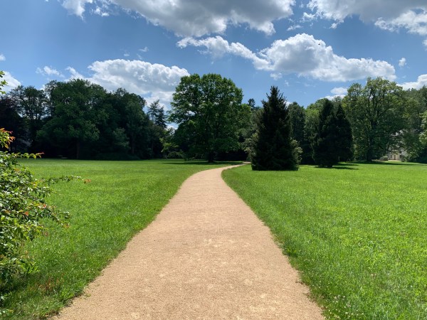 Weg auf freier Wiese zum Horizont. Auf halben Weg biegt der Weg in die Bäume ein. Sommerwetter.