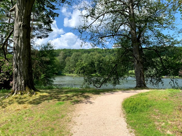 Nach rechts abknickender Weg durch kurze Wiese in Richtung eines Sees bei schönstem Sommerwetter. Zwischen Weg und See stehen Bäume. Am anderen Ende des Ufers Wald.