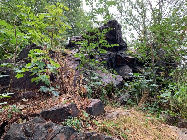 Minibäumchen und Gras auf der Oberseite eines Felsen.