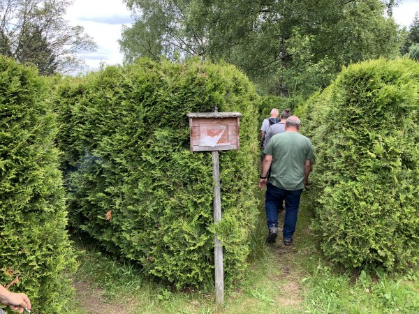 Leute laufen in einen Hecken-Irrgarten und wählen den rechten Weg. In der Mitte vom Abzweig ein nicht mehr lesbares Schild.