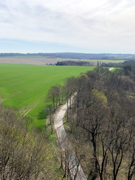 Blick von schräg oben auf Feld und Wald, getrennt von einem Weg. Alles unter leicht bewölktem Himmel.