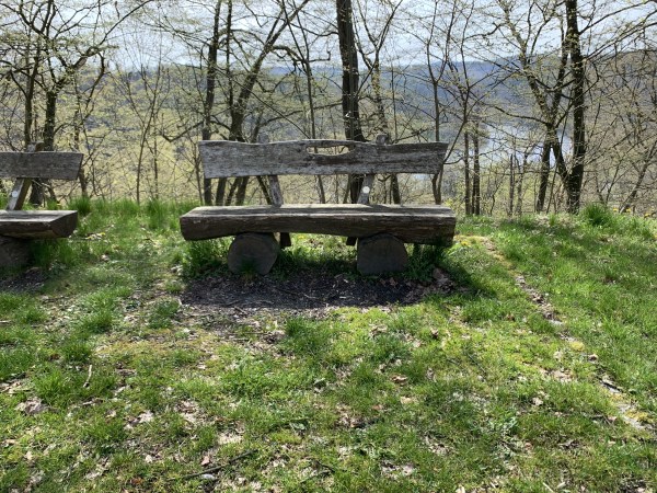 Holzbank auf Wiese vor mit Bäumen zugewachsenem Ausblick