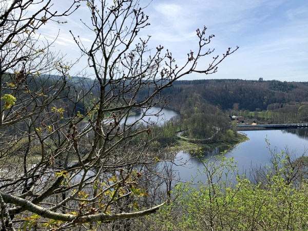 Blick durch Zweige auf die Talsperre Burghammer