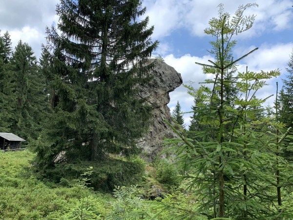 Zwischen unregelmäßigen Bäumen ein Felsen. An der linken Seite teilweise eine Hütte.