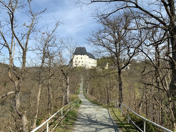 Im Wald Weg zum Schloß zwischen kahlen Bäumen. Am Weg befindet sich ein Geländer.