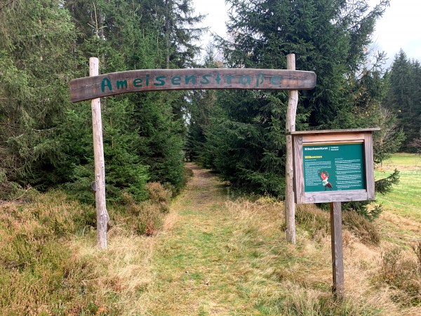 Hölzernes Eingangstor auf grasbewachsenem Waldweg. Auf dem Tor steht Ameisenstraße. Am rechten Wegrand steht ein hölzernes Hinweisschild.