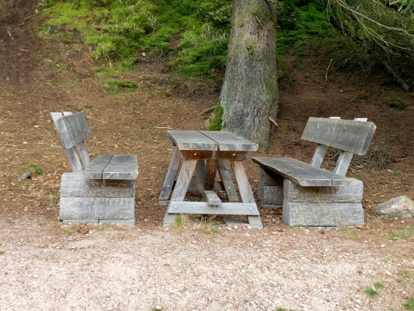 Holztisch zwischen zwei Holzbänken auf Waldboden vor einem Baumstamm